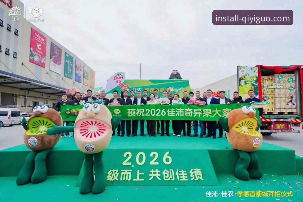 揭秘奇异果体育2026新版：多平台体验背后的真相
