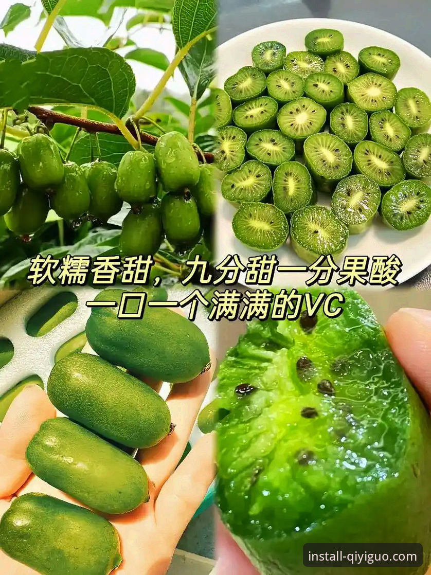 奇异果体育登录入口教程必备知识：从下载到使用的完整操作指南